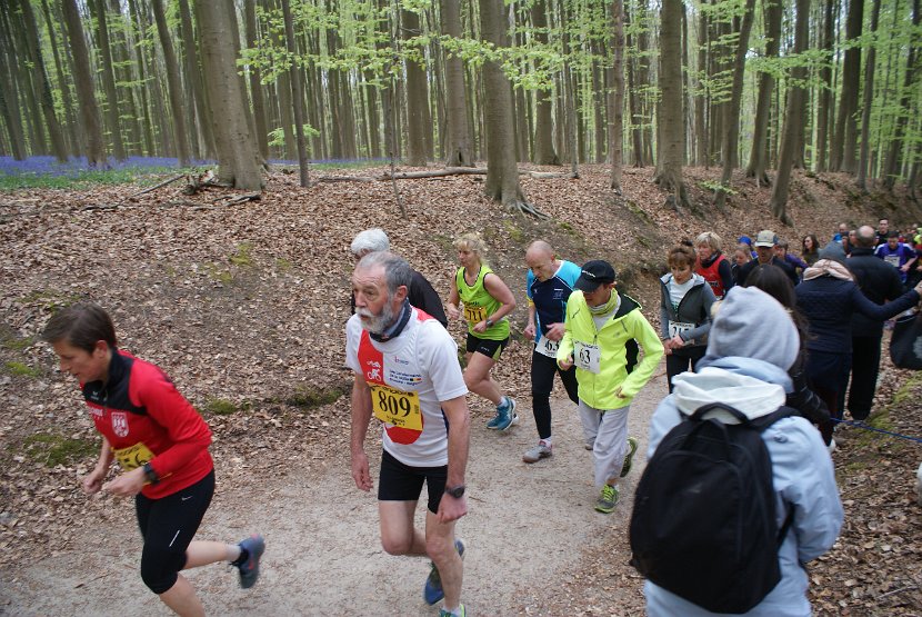 Hyacintenjogging 2016 - 144